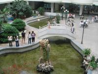 Albums/20060800-China Aug 2006/20060804-Shenyang University/100
